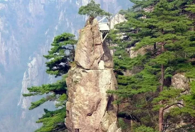 1597955551669287.png 2.png