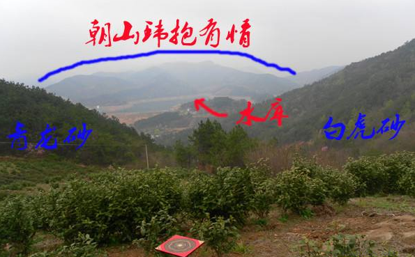 1598257165153479.png 1.png