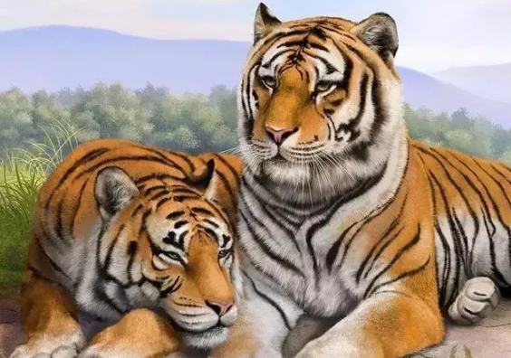 1599321958448674.png 1.png