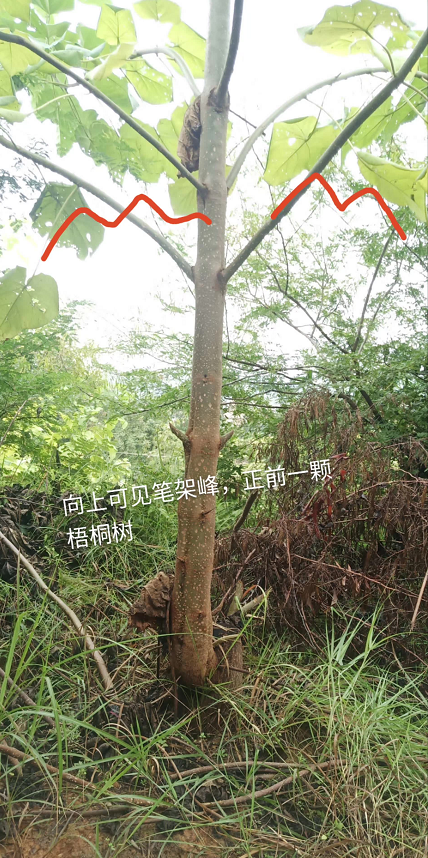 1599567395273646.png