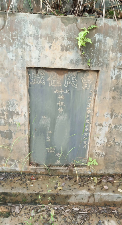 1599567395781174.png