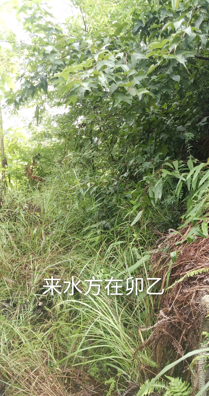 1599567396302498.png