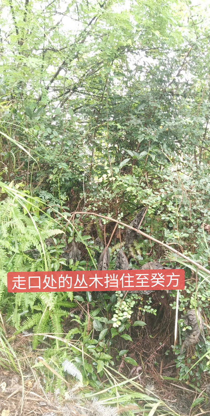 1599567396743727.png