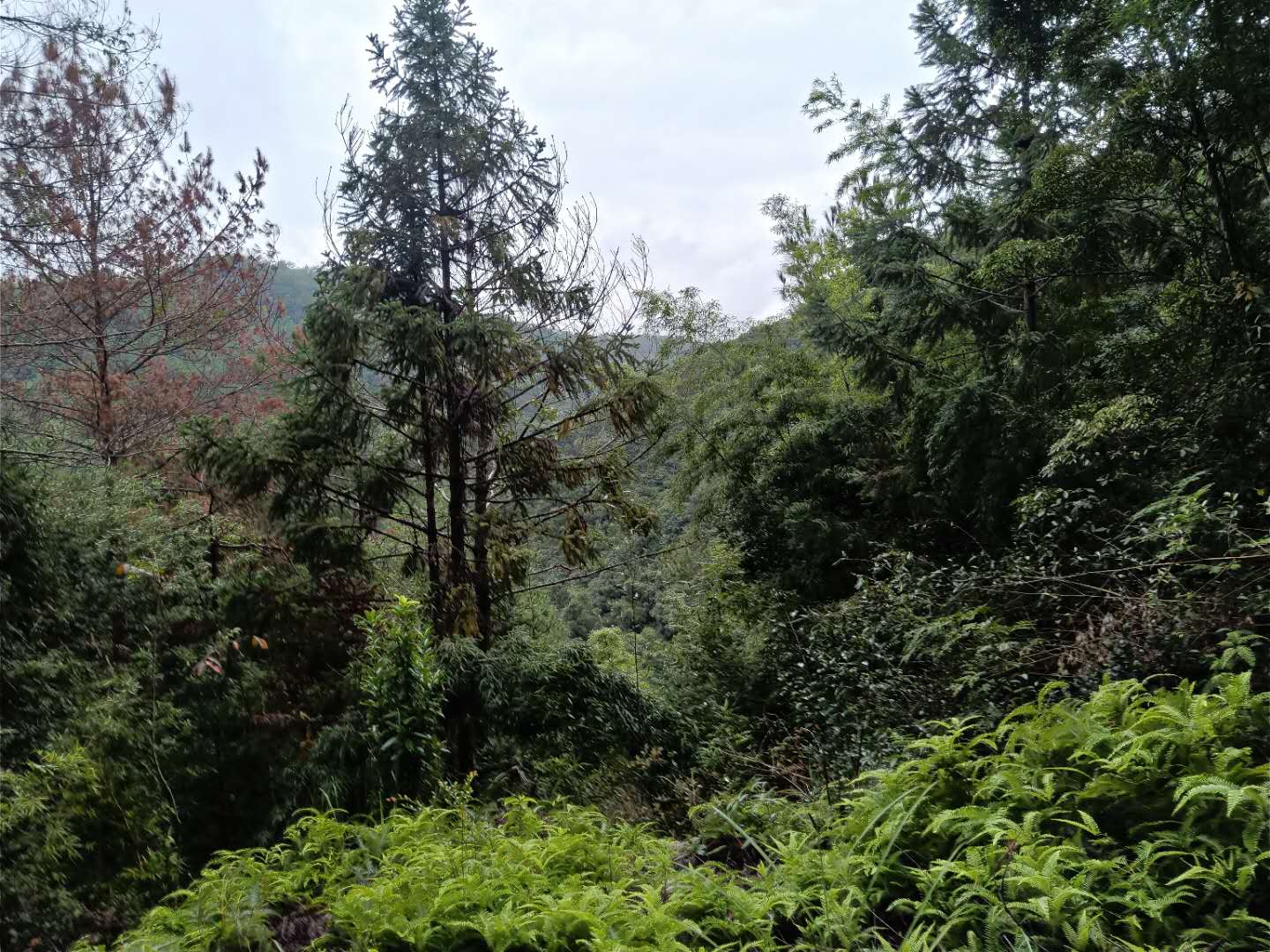 1600987148940397.jpg