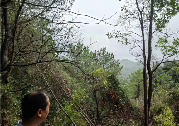 1601025286812340.png