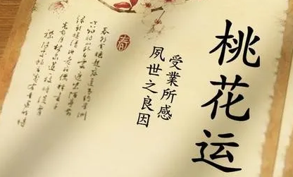 1602215744691544.png 1.png