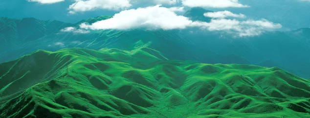 1602975415734043.png 1.png