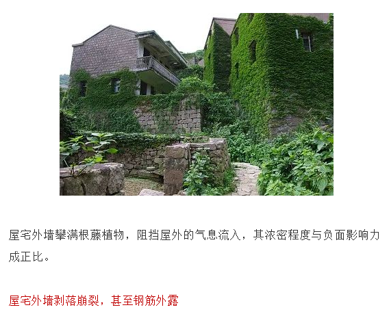 1603703983872262.png 5.png