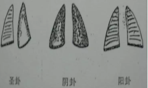 1604653106189585.png 2.png