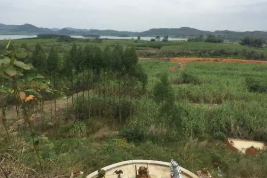1605504303253769.png 1.png
