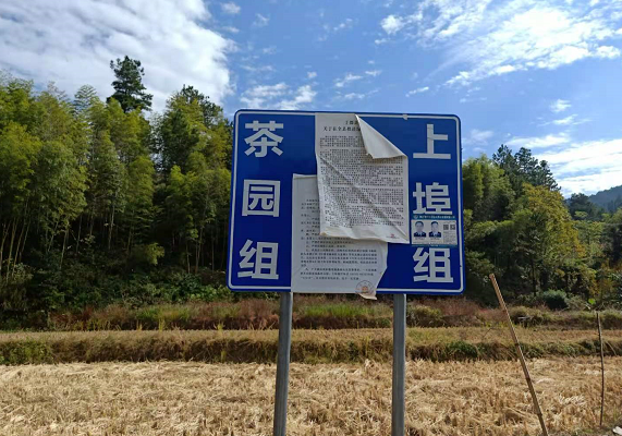 1605517931691578.png