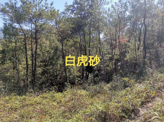 1605539693385106.png