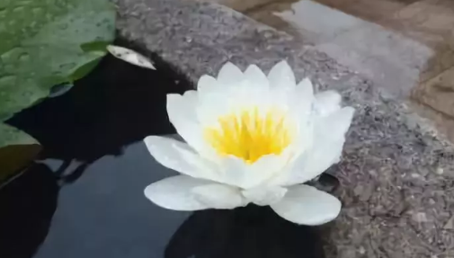 1606444841328737.png 9.png