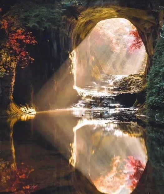 1606529133305958.png 5.png