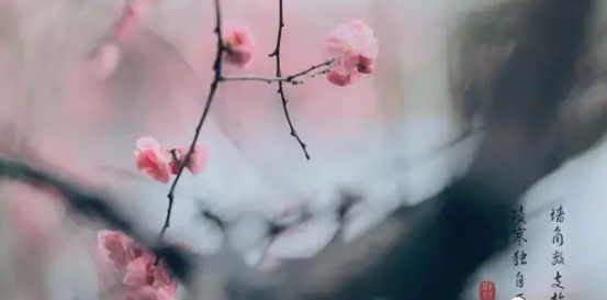 1606529141538800.png 6.png