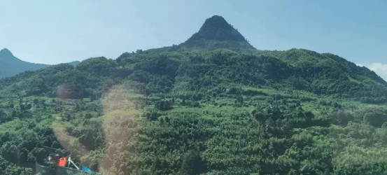 1606895832387582.png 1.png