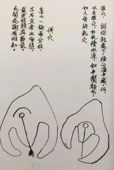 1607690342150820.png 3.png