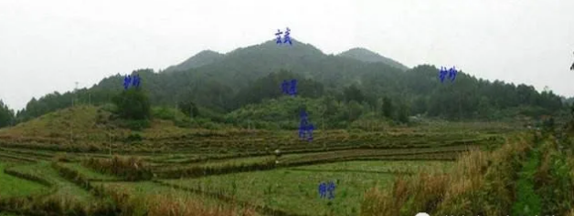 1607822391287264.png 1.png