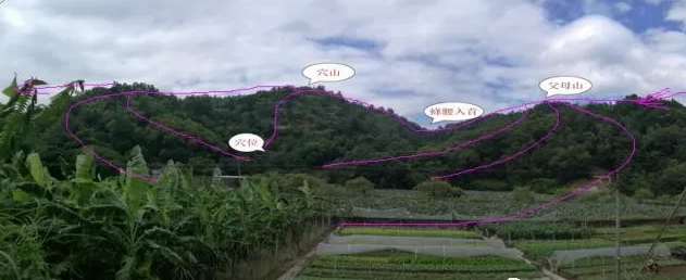 1607849788415168.png 1.png
