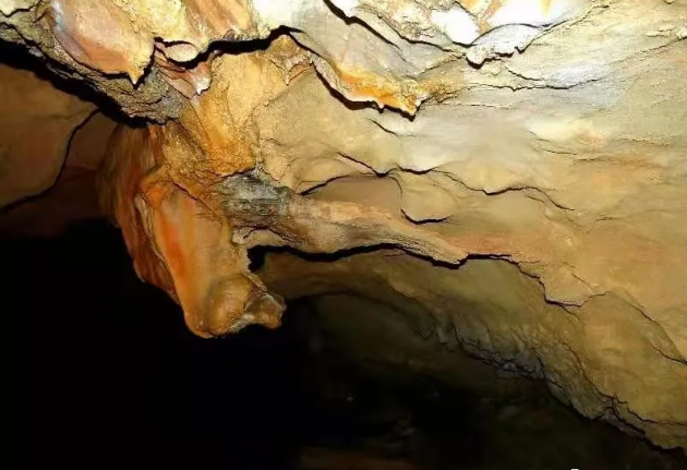 1608030006168402.png 5.png
