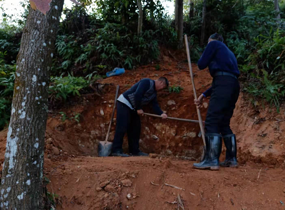 1608613708822378.png
