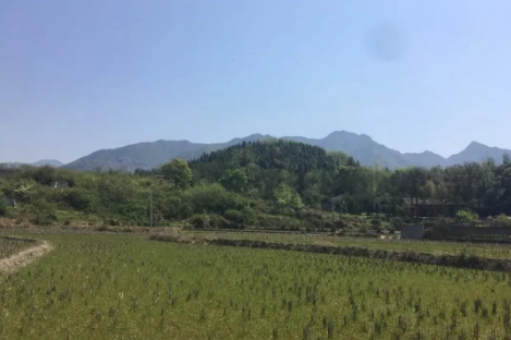1609044256779690.png 2.png