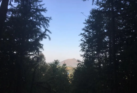 1609044264172672.png 3.png