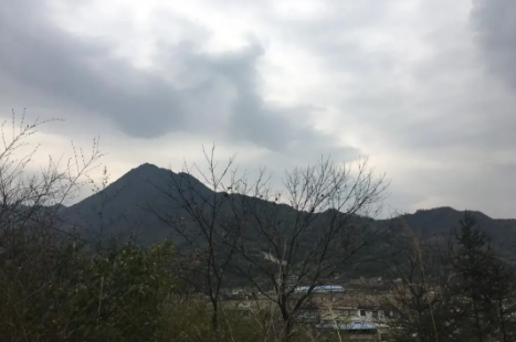 1609044279266914.png 5.png
