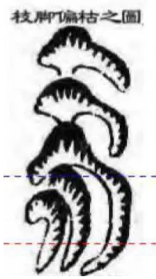 1609076101385369.png 9.png
