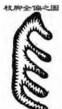 1609076110988929.png 10.png