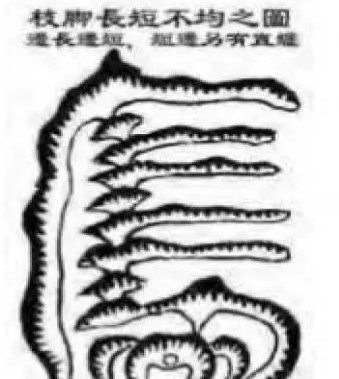 1609076134220395.png 12.png