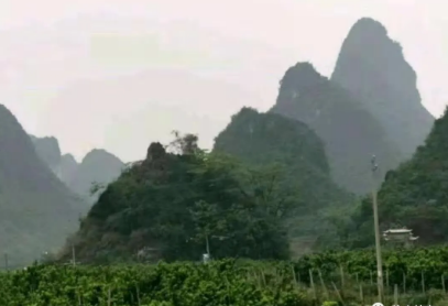 1609206277356306.png 3.png
