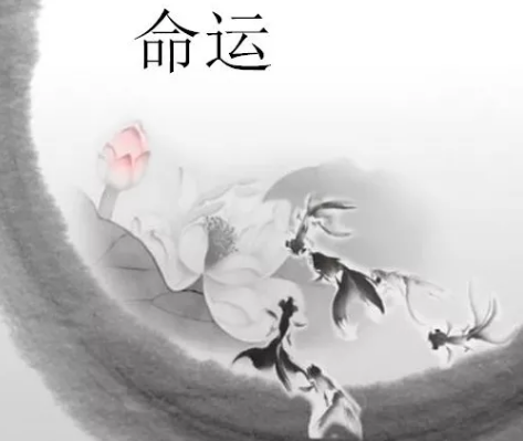 1609372744725410.png 1.png