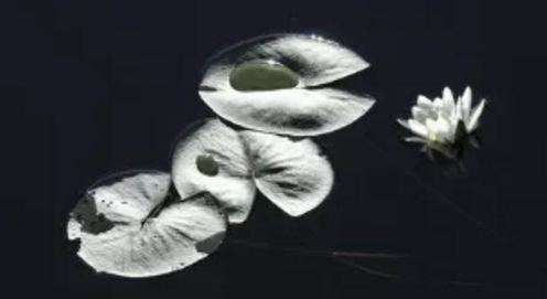 1609404669276240.png 1.png