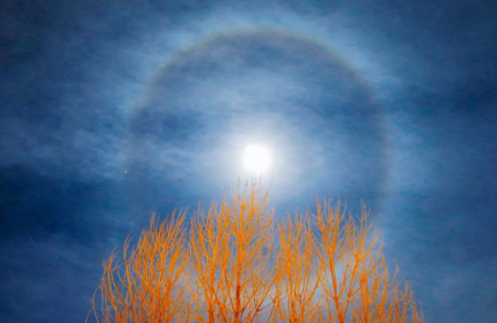 1610101313945134.png 1.png