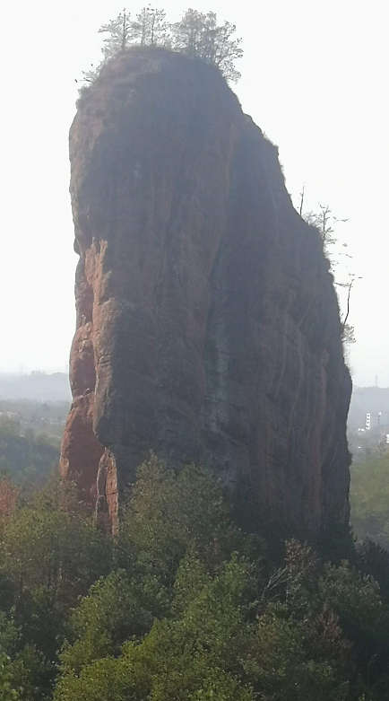 1610105521101468.png