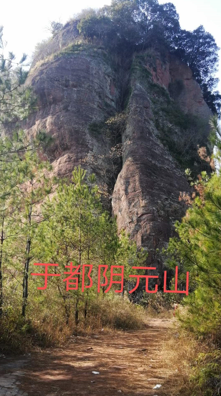 1610105521494488.png