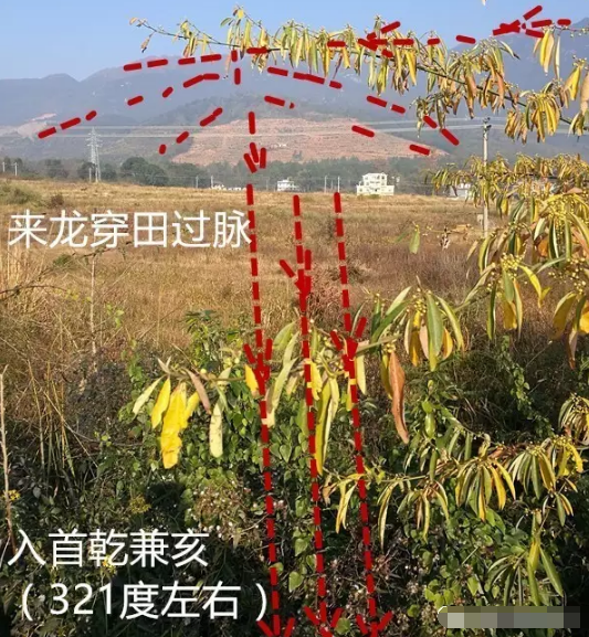 1610847444296326.png