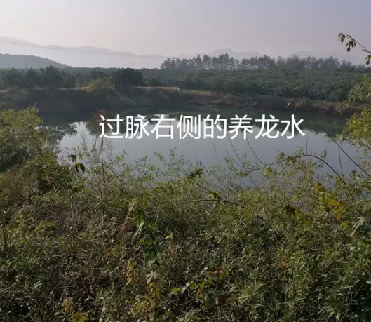 1610847444830695.png