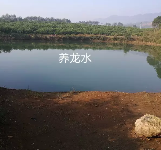 1610847444924724.png