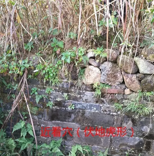1610847445296921.png