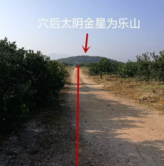 1610847445859570.png
