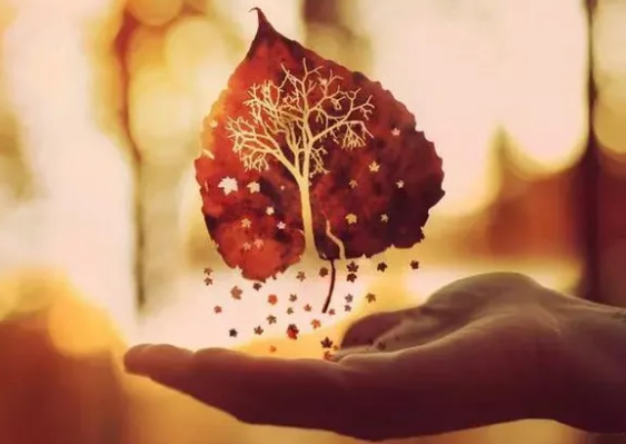 1611221917549433.png 1.png