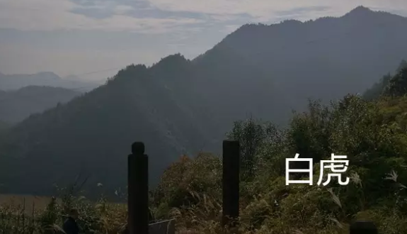 1611283165450217.png
