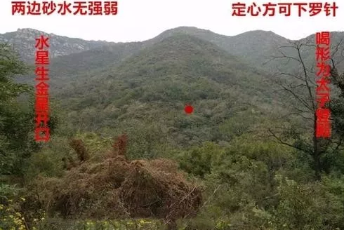 1611534208667336.png 5.png