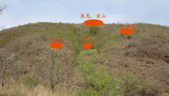 1611534577661901.png 3.png
