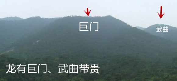 1611541727985524.png