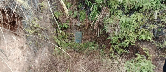 1612003925360120.png 6.png