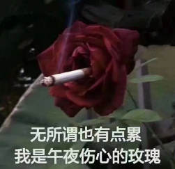 1612684227471039.png 1.png