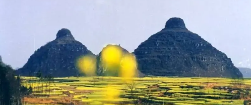 1612791859918931.png 2.png